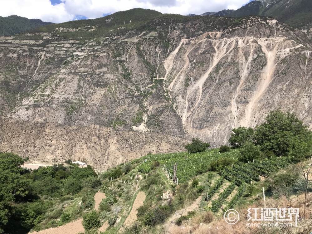 未来可期，中国365bet返水多少_bat365app手机版_365bet网球产区崛起正当时